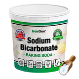 Sodium Bicarbonate / Baking Soda