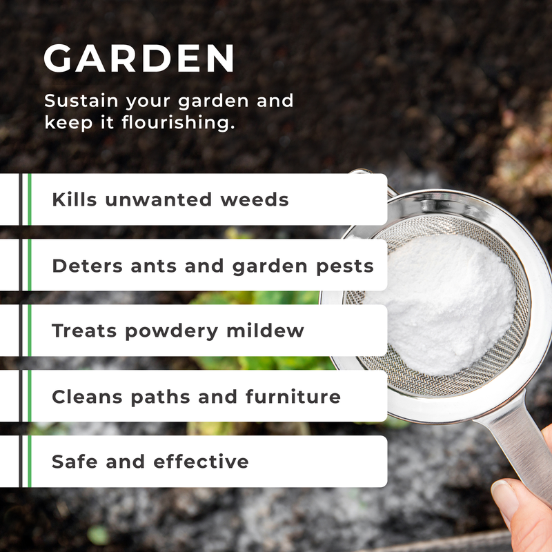 Sodium Bicarbonate / Baking Soda