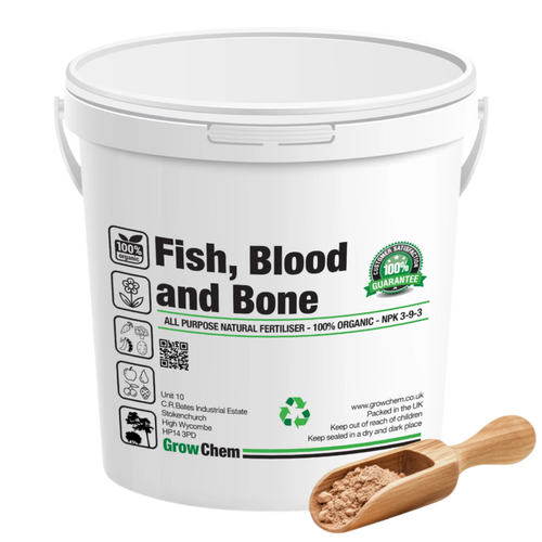 Fish Blood & Bone 