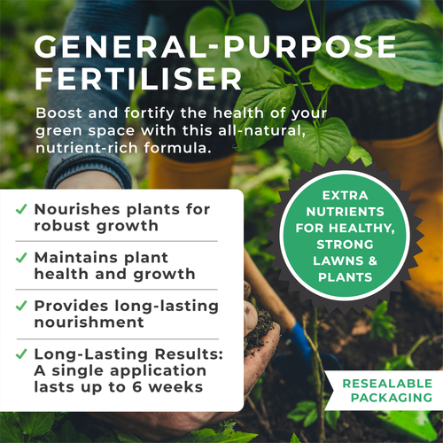 plant fertiliser uk