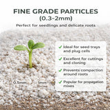 Close-up of fine grade perlite particles 0.3–2mm supporting a young seedling, ideal for plug cells and propagation