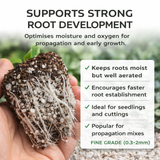 Seedling root ball mixed with perlite showing improved aeration and strong root development for propagation
