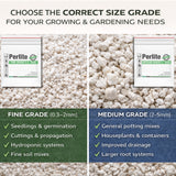 Comparison of fine grade and medium grade perlite sizes showing particle differences for seedlings and potting mixes